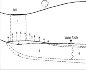  Cross-section diagram