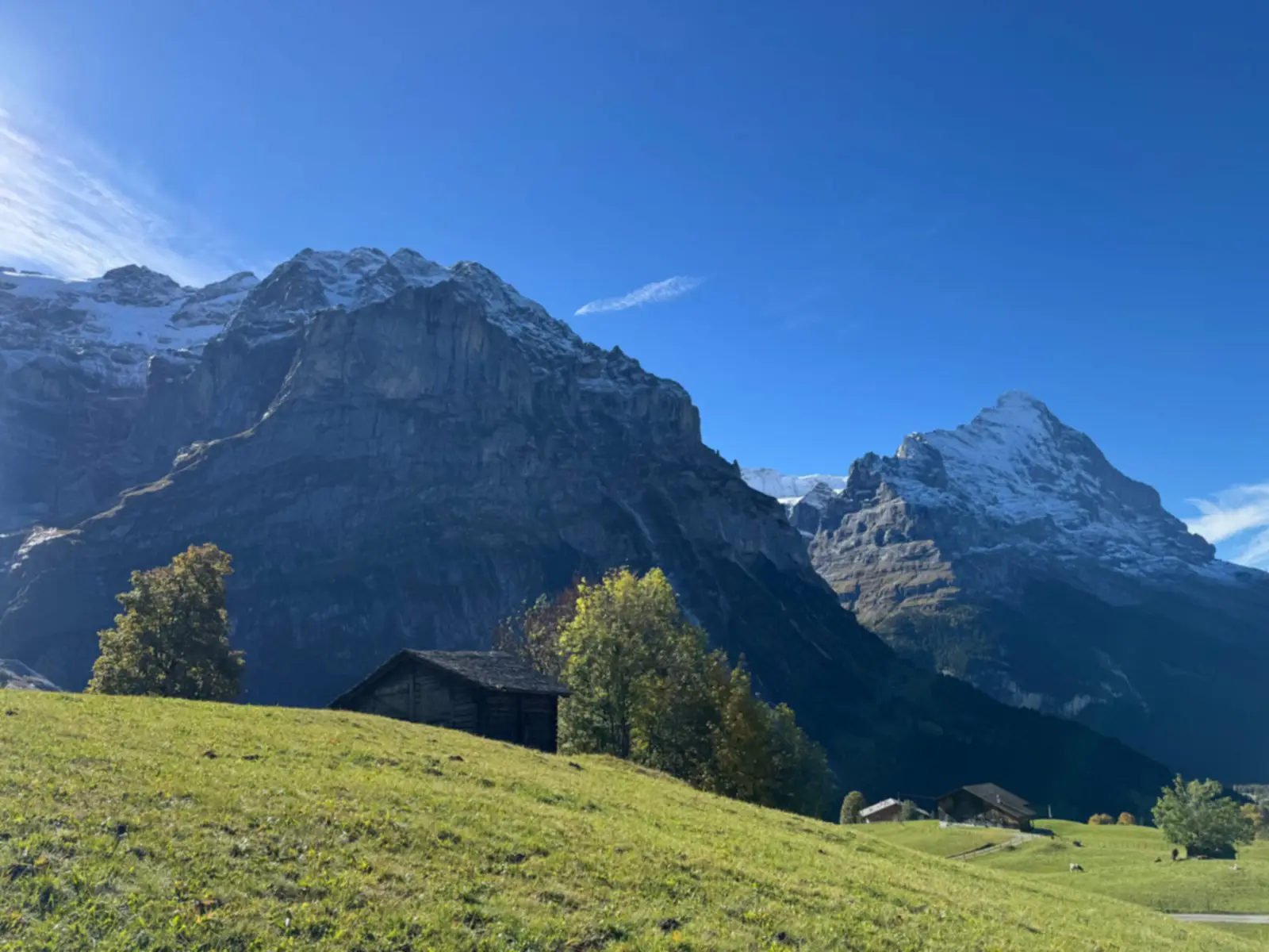 Switzerland Nature